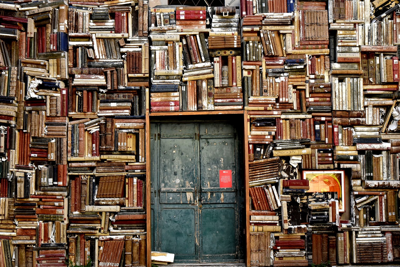 books, cool backgrounds, shelves-1655783.jpg